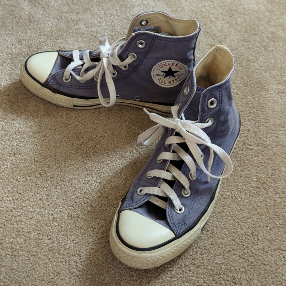 Converse Purple Mountain shoes